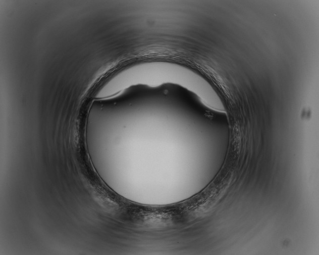 X0000099990400200806201455