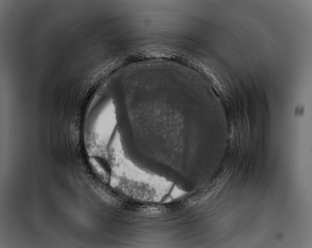 X0000099990402200806201455