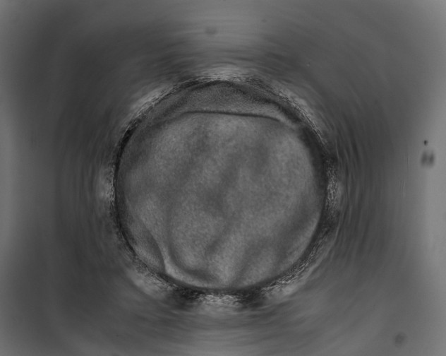 X0000099990403200806201455