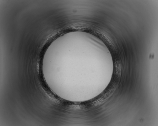 X0000099990404200806201455