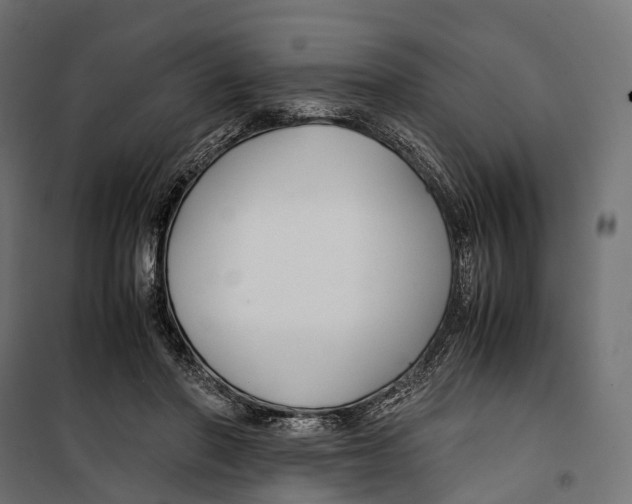 X0000099990406200806201455