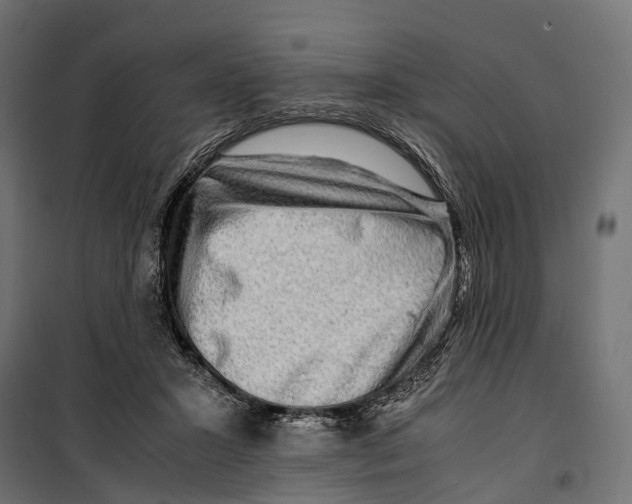 X0000099990407200806201455