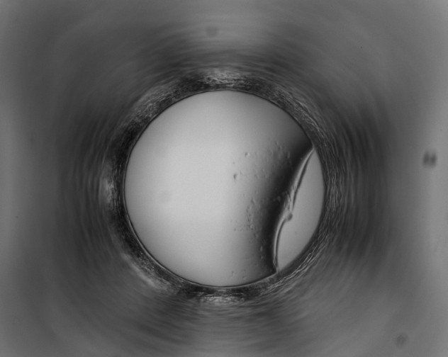 X0000099990408200806201455