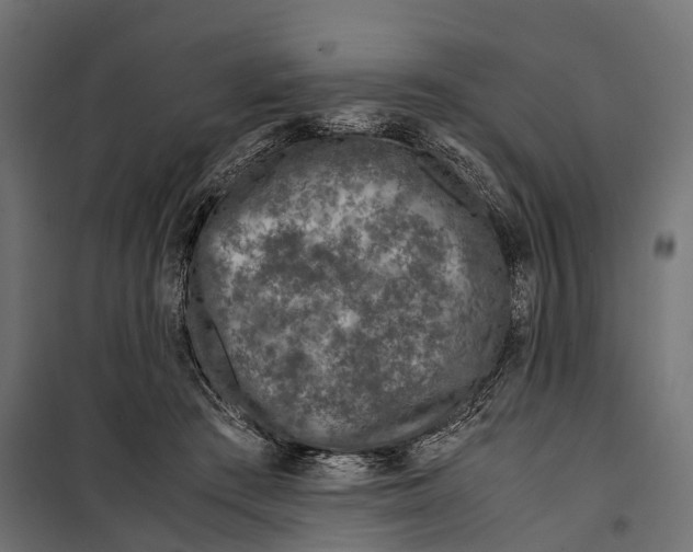 X0000099990409200806201455