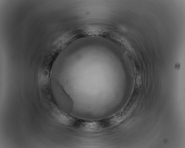 X0000099990411200806201455