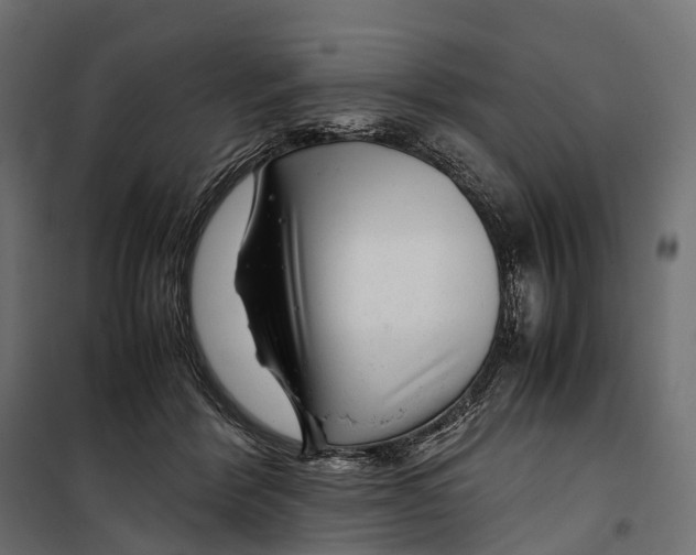 X0000099990412200806201455