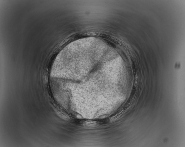 X0000099990413200806201455