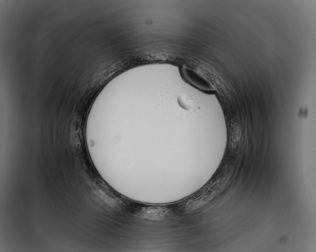 X0000099990414200806201455