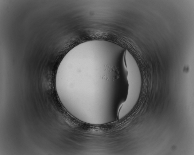 X0000099990416200806201455