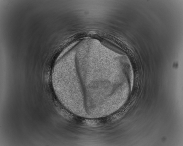 X0000099990417200806201454