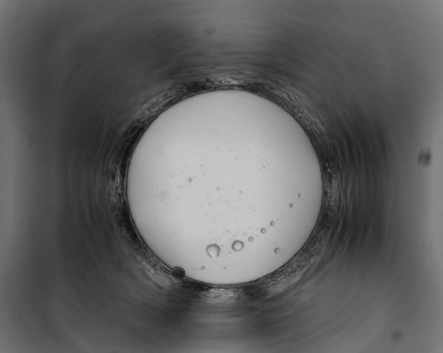 X0000099990418200806201454