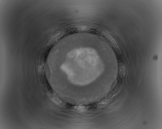 X0000099990419200806201454