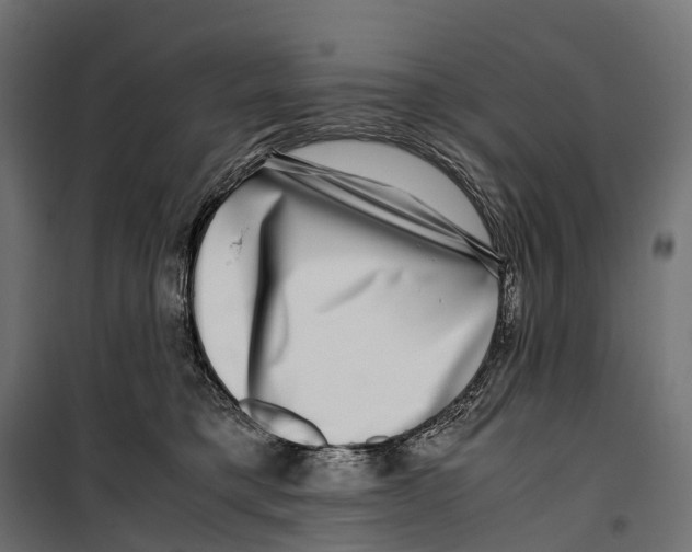 X0000099990421200806201454