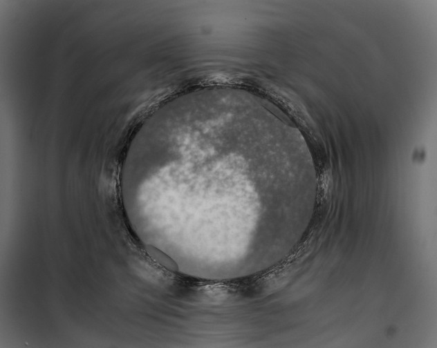 X0000099990423200806201454