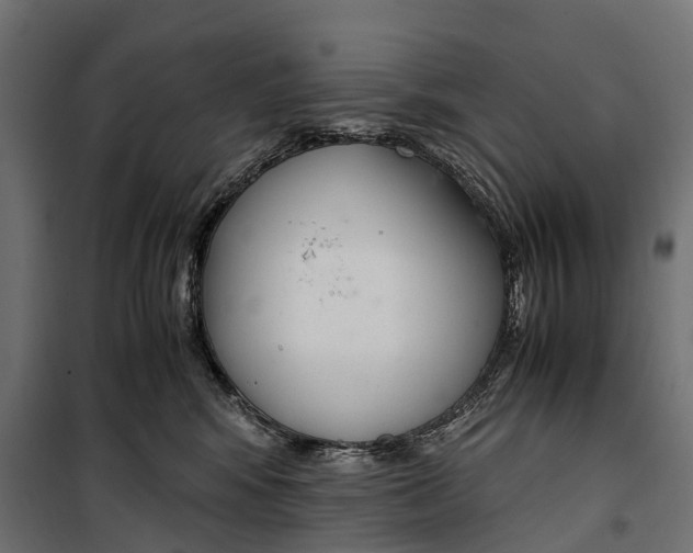 X0000099990424200806201454