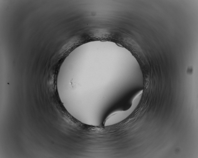 X0000099990428200806201454