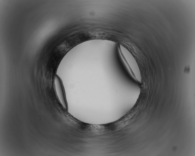 X0000099990429200806201454