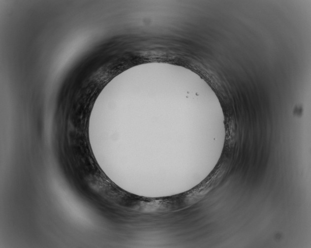 X0000099990430200806201454