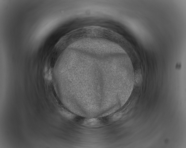 X0000099990431200806201454