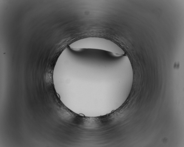 X0000099990432200806201454