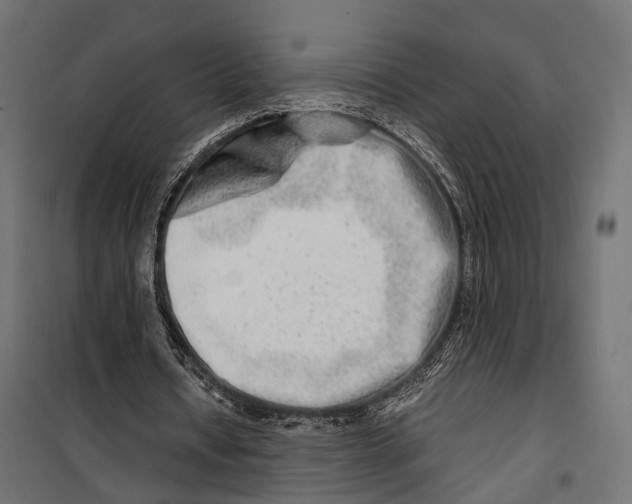 X0000099990434200806201453