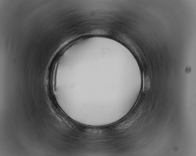 X0000099990435200806201453