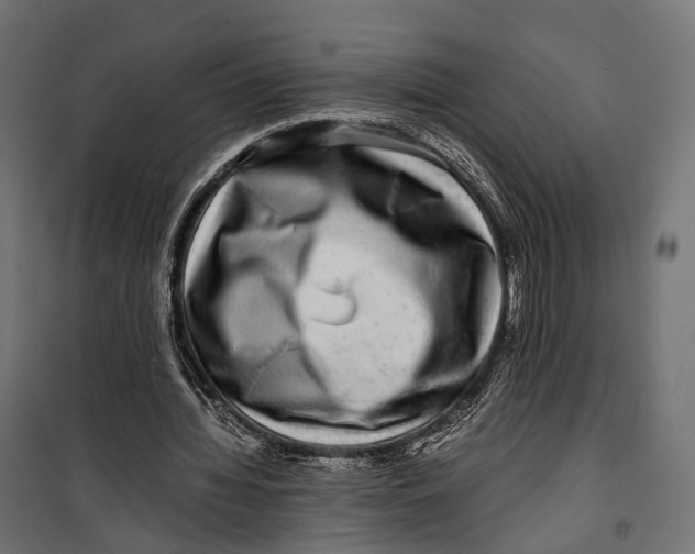 X0000099990436200806201453