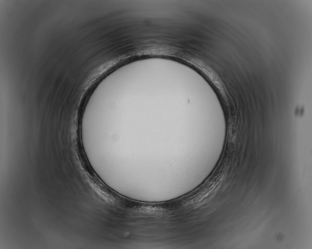 X0000099990437200806201453