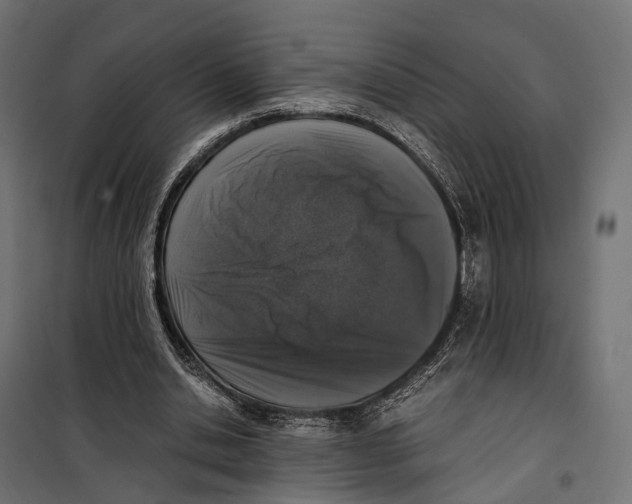 X0000099990438200806201453