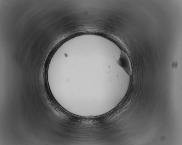 X0000099990439200806201453