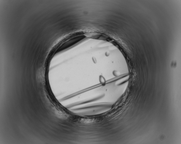 X0000099990440200806201453