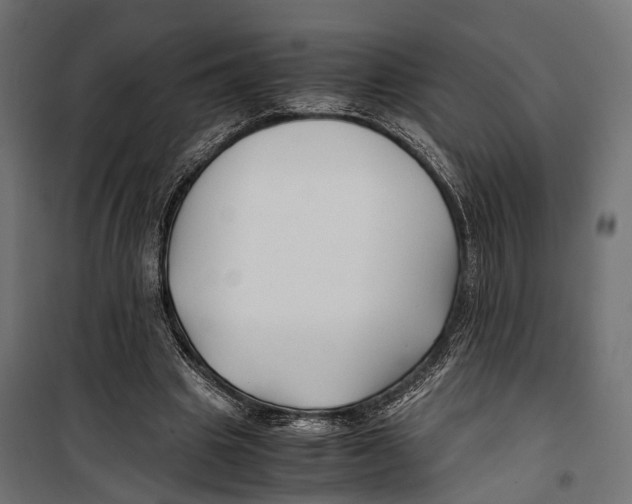 X0000099990441200806201453