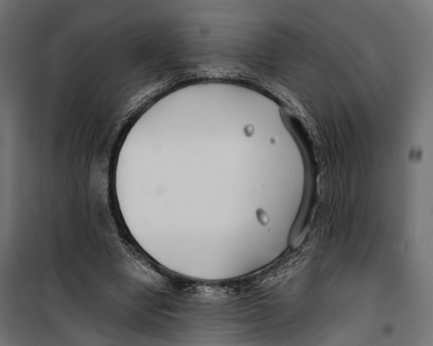 X0000099990442200806201453