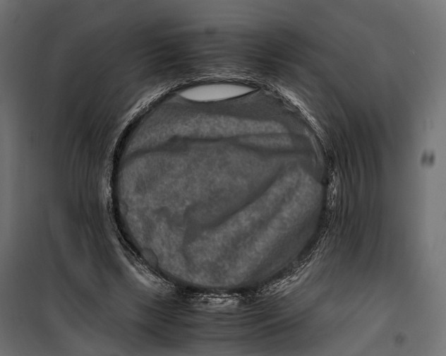 X0000099990443200806201453