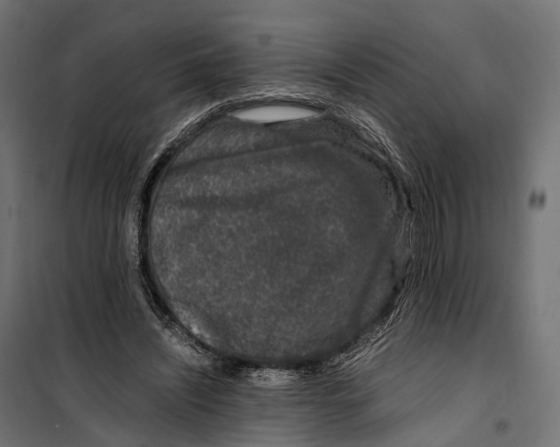 X0000099990444200806201453