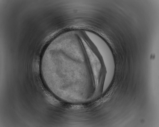 X0000099990446200806201453