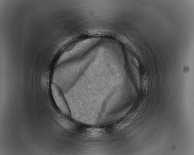 X0000099990448200806201453