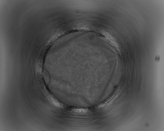 X0000099990449200806201453