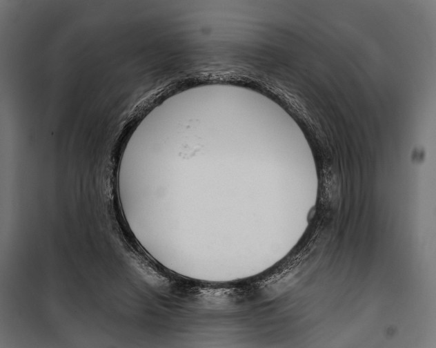 X0000099990450200806201453