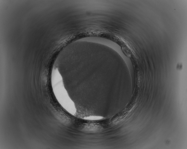 X0000099990451200806201453