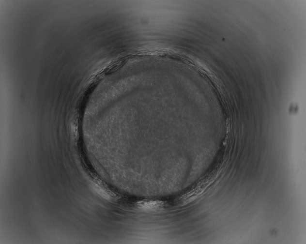 X0000099990452200806201454