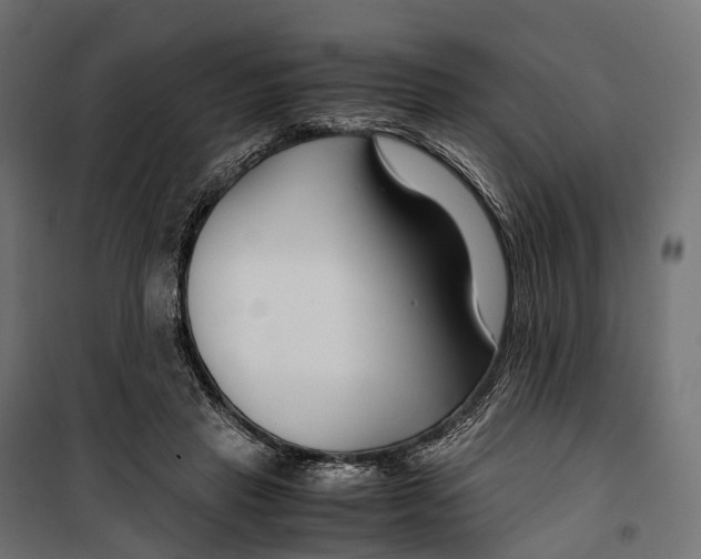 X0000099990453200806201454