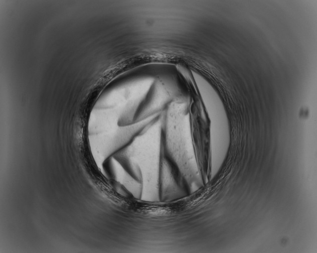 X0000099990456200806201454