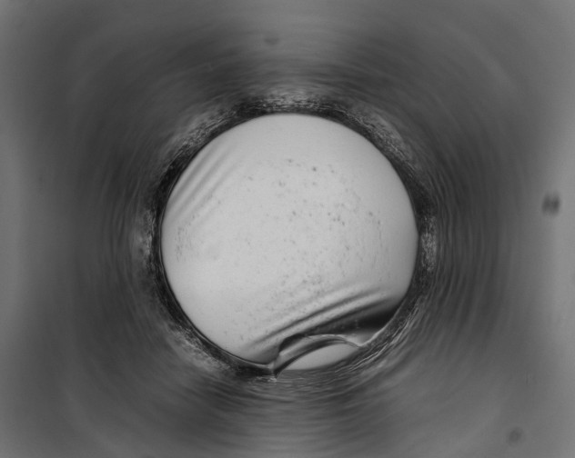 X0000099990458200806201454