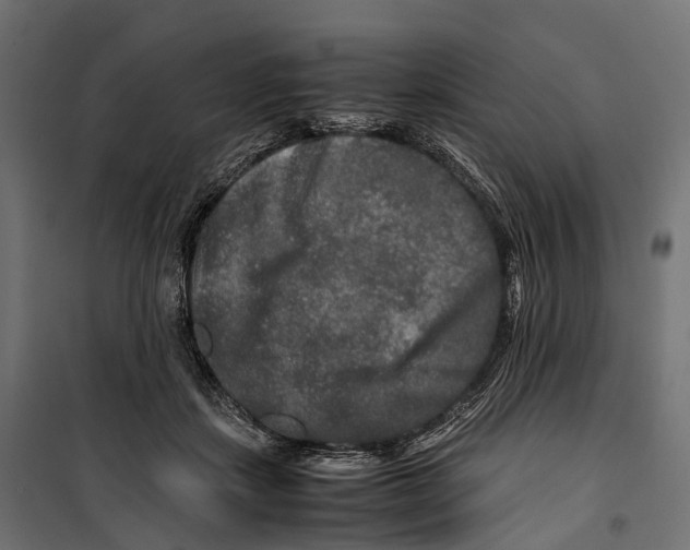 X0000099990459200806201454