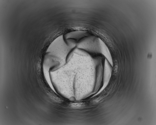 X0000099990461200806201454