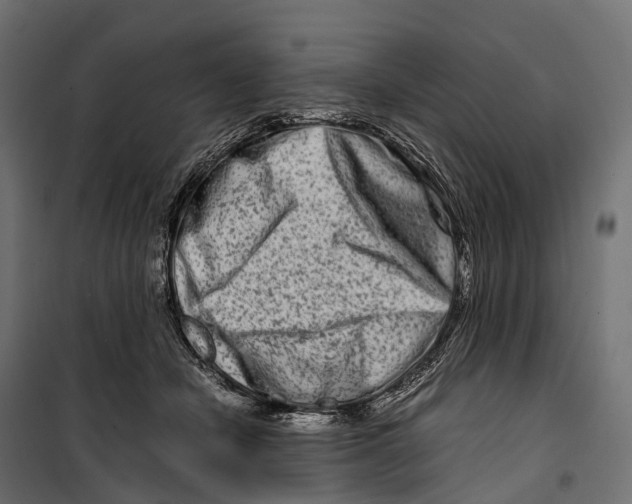 X0000099990462200806201454