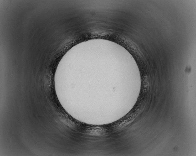 X0000099990463200806201454