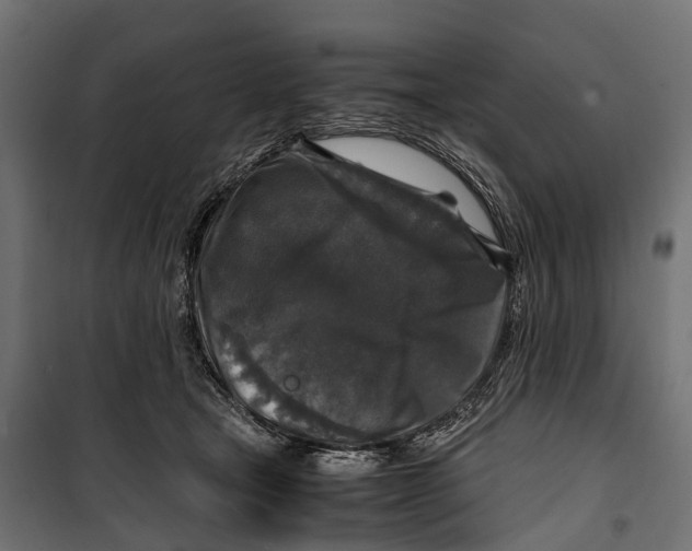 X0000099990465200806201454