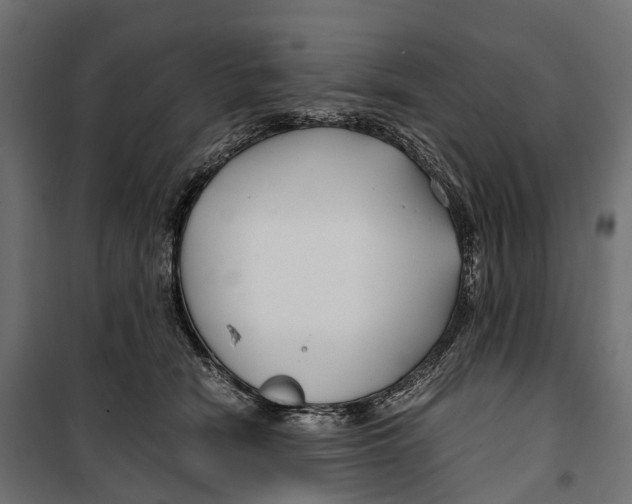 X0000099990466200806201454